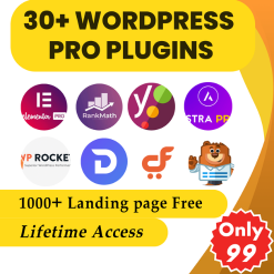 Wordpress Plugin